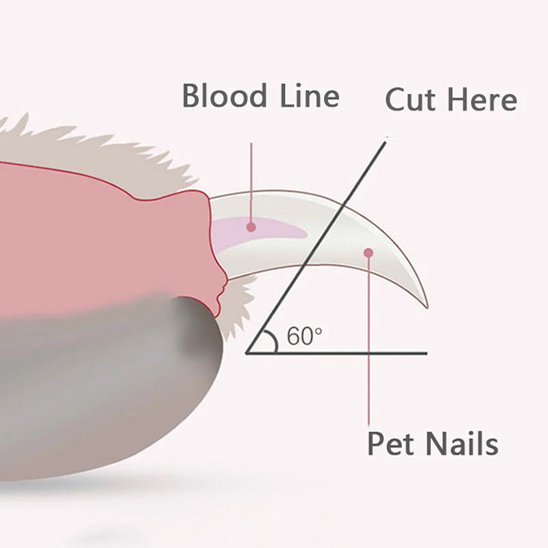 Nail Bright Trimmer