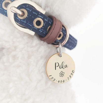 Personalized Pet ID Tag & Collar