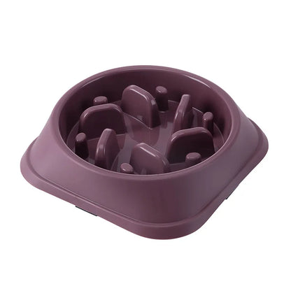 SlowFeed Anti-Choke Pet Bowl