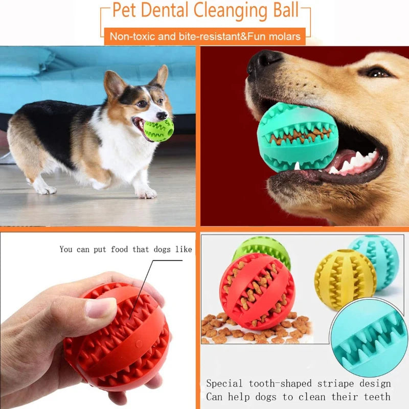 Interactive Dog Toy Ball