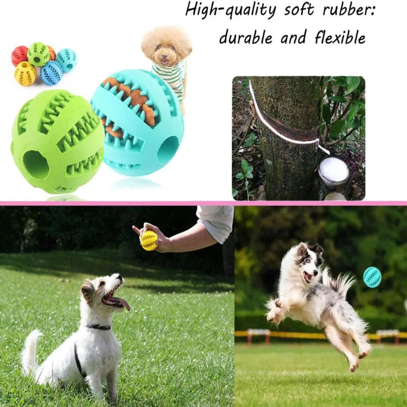 Interactive Dog Toy Ball