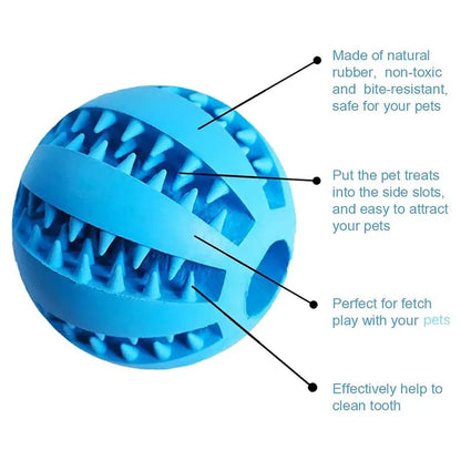 Interactive Dog Toy Ball