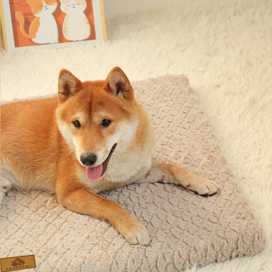 Washable Faux Fur Pet Bed