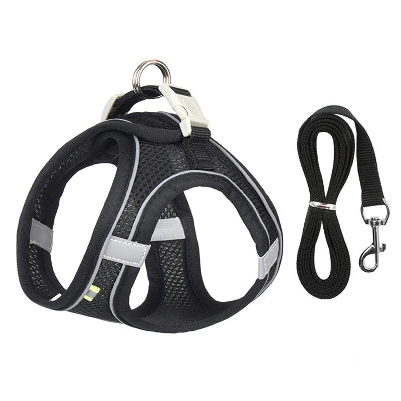 Adjustable Dog Harness & Leash Set