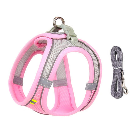 Adjustable Dog Harness & Leash Set