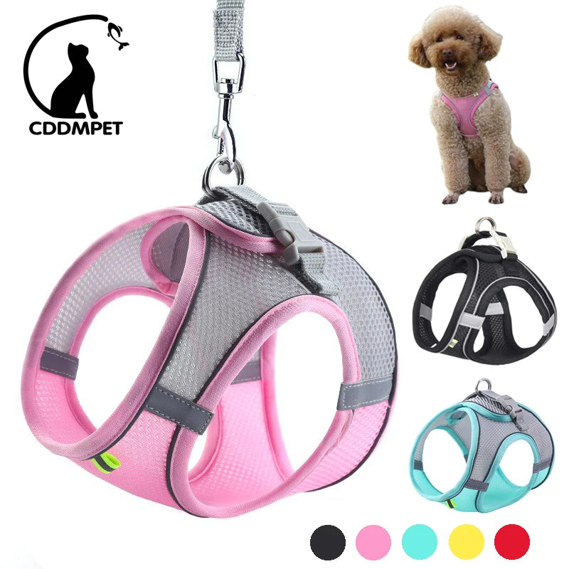 Adjustable Dog Harness & Leash Set