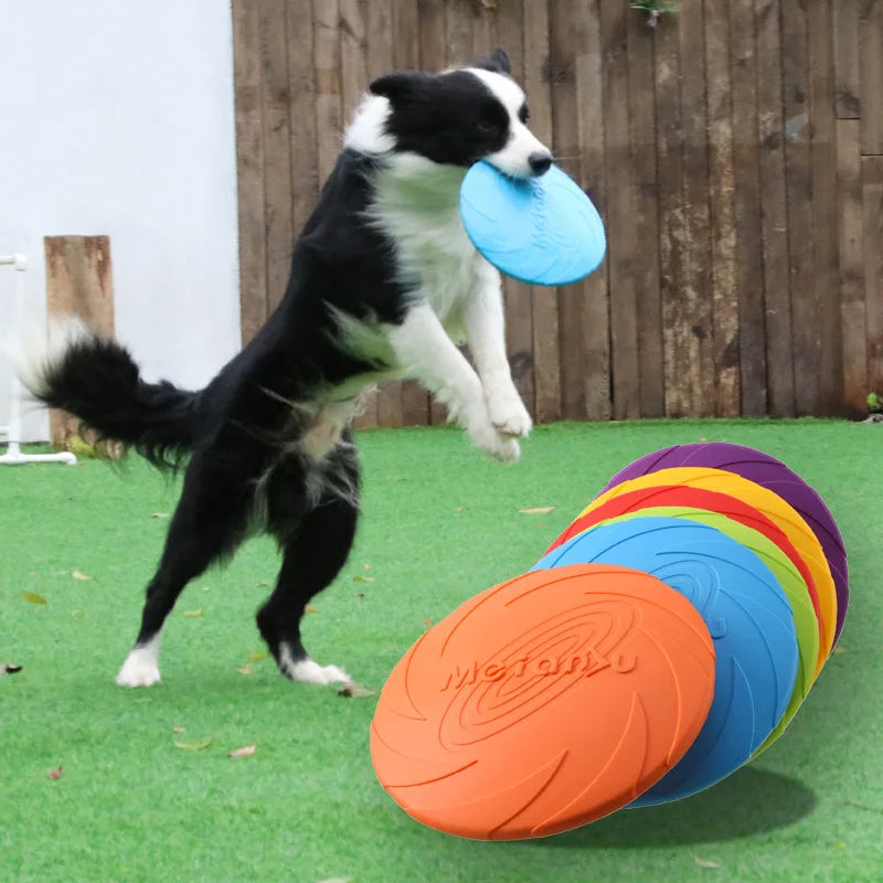 Paw Fly Disc